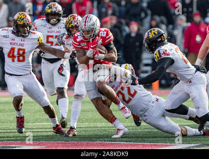 Columbus, Ohio, USA. 9 Nov, 2019. Ohio State Buckeyes zurück Marcus Crowley (24) trägt den Ball in der zweiten Hälfte des Spiels zwischen dem Maryland Dosenschildkröten und die Ohio State Buckeyes am Ohio Stadium, Columbus, Ohio. Credit: Scott Stuart/ZUMA Draht/Alamy leben Nachrichten Stockfoto