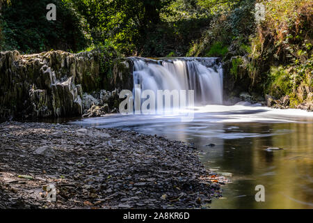 Schöner nette Wasserfall in der Eifel, Trimbs, Deutschland, Europa Stockfoto