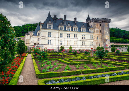 Erstaunlicher Luxus Schloss Villandry mit malerischen blumig Ziergarten. Geordnete Ziergarten mit Blumenbeeten und Gemüse, Loire-tal, Fr Stockfoto