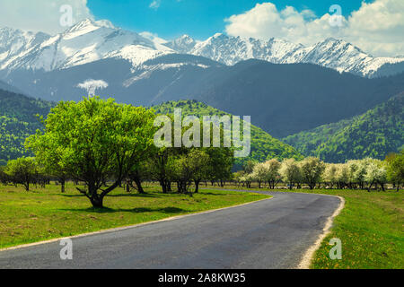 Erstaunlich frühling landschaft mit ländlichen Straße, blühenden Obstgarten und hohe schneebedeckte Berge, Fagaras Gebirge, Karpaten, Siebenbürgen, Rumänien, Europa Stockfoto