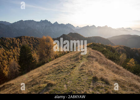 Oben auf einem Berg mit schöner Herbst Wald im Hintergrund bei Sonnenuntergang. Schöne Landschaft mit Bäumen mit Rot und Orange verlässt. Stockfoto