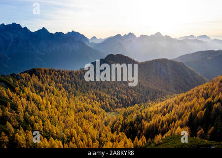 Luftbild des schönen Herbst Wald bei Sonnenuntergang. Schöne Landschaft mit Bäumen mit Rot und Orange verlässt. Ansicht von oben von Flying drone. Natur Stockfoto