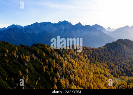 Luftbild des schönen Herbst Wald bei Sonnenuntergang. Schöne Landschaft mit Bäumen mit Rot und Orange verlässt. Ansicht von oben von Flying drone. Natur Stockfoto