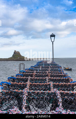 Hummer Töpfen auf Holy Island Stockfoto