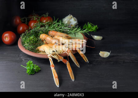 Frische scampi, auch genannt Kaisergranat oder Scampi auf einer Platte, Tomaten, Knoblauch und Kräutern auf einem rustikalen Holzmöbeln Hintergrund, Zutaten für einen Festi Stockfoto