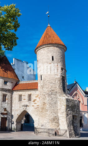 Tallinn in Estland, bunte Häuser in der mittelalterlichen Stadt, typische Gebäude Stockfoto