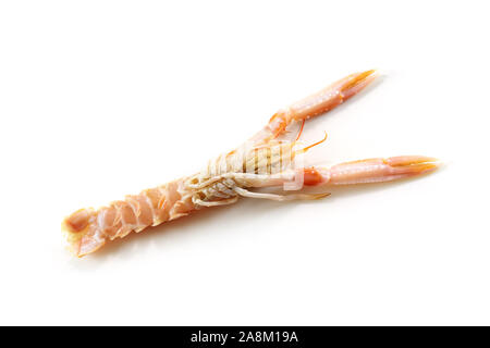 Unterseite eines Scampi auch genannt Scampi oder Kaisergranat, teure Meeresfrüchte auf einem weißen Hintergrund, kopieren Raum isoliert, ausgewählte konzentrieren, narro Stockfoto