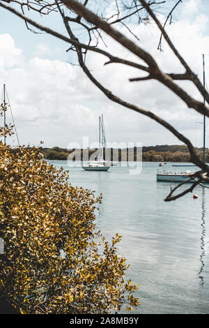 Dunbogan Boatshed, NSW, Australien - 20. Oktober 2019: Landschaftlich schöne Aussicht auf die Boote auf dem ruhigen Camden Haven Einlass-/Fluss. Stockfoto