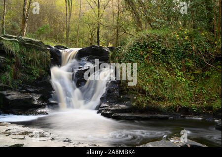 Der Fluss und die Wasserfälle bei Glenbarrow im Slieve Bloom Mountains Co.Laiose, Irland Stockfoto