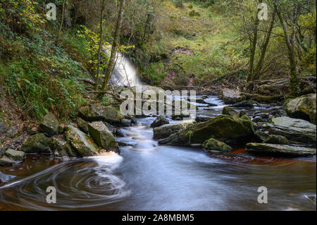 Der Fluss und die Wasserfälle bei Glenbarrow im Slieve Bloom Mountains Co.Laiose, Irland Stockfoto