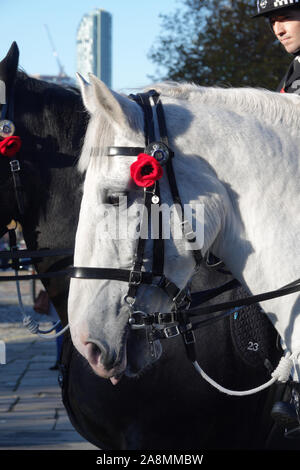 Liverpool UK. 10. November 2019. Merseyside berittene Polizei Pferd mit einer Mohnblume als Veteranen und die Mitglieder der Britischen Streitkräfte an den jährlichen Tag der Erinnerung parade vor St. George's Hall. Credit: Ken Biggs/Alamy Leben Nachrichten. Stockfoto