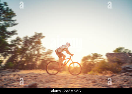 Reiten Mountainbike in den Wald durch die Bäume. Stockfoto