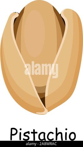 Pistachio. Vector illustration isolated on white background. Useful vegan food. Nuts are good. Stock Vektor