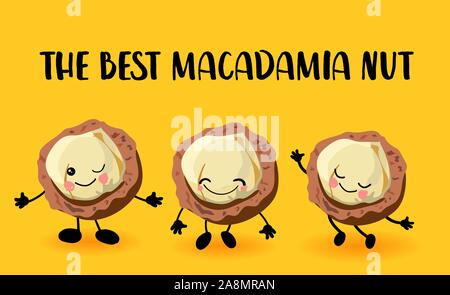 Macadamianuss Charakter. Grußkarte oder Logo gelb hellen Hintergrund. Nützlich und frische Lebensmittel. Vegetarier und Veganer. Stock Vektor