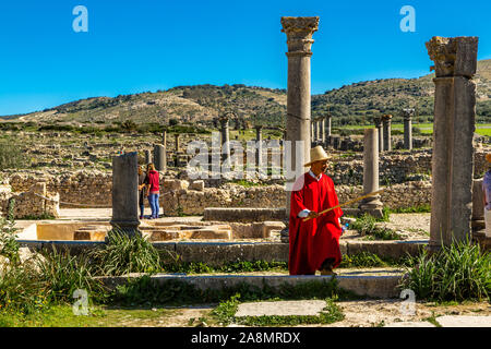 Volubilis Marokko Unesco ist einer der am besten erhaltenen römischen Ruinen in der Nähe von Meknes. Volubilis wurde von den französischen Marokko 1912-1956 ausgegraben Stockfoto