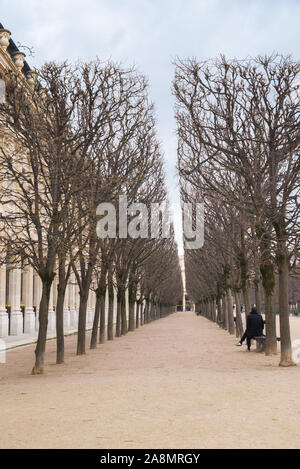 Paris, Frankreich, märz, 24. 2018, Gärten des Palais Royal, öffentlicher Garten, schöne Aussicht auf eine Gasse im Winter Stockfoto