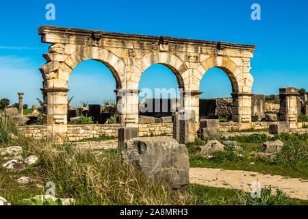 Volubilis, der Decumanus Maximus, römische Ruinen in der Nähe von Meknes. Volubilis wurde von den französischen Marokko 1912-1956 ausgegraben Stockfoto