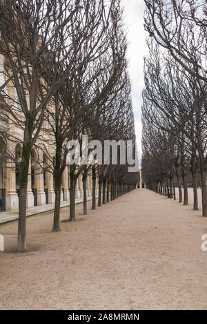 Paris, Frankreich, märz, 24. 2018, Gärten des Palais Royal, öffentlicher Garten, schöne Aussicht auf eine Gasse im Winter Stockfoto