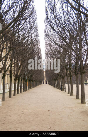 Paris, Frankreich, märz, 24. 2018, Gärten des Palais Royal, öffentlicher Garten, schöne Aussicht auf eine Gasse im Winter Stockfoto