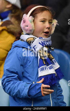 9. November 2019, Hillsborough, Sheffield, England; Sky Bet Meisterschaft, Sheffield Mittwoch v Swansea City: Junge Sheffield Mittwoch Supporter. Credit: Dean Williams/News Bilder Stockfoto