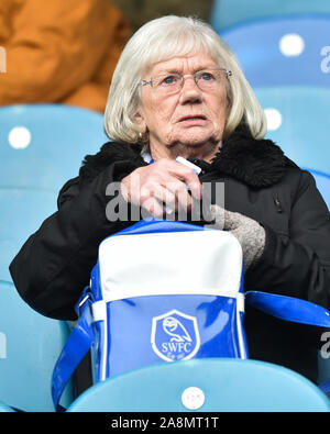 9. November 2019, Hillsborough, Sheffield, England; Sky Bet Meisterschaft, Sheffield Mittwoch v Swansea City: Sheffield Mittwoch Supporter. Credit: Dean Williams/News Bilder Stockfoto