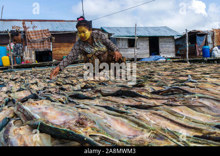 Sea Gypsy Frauen trocknen die Fische in Semporna Sabah Malaysia. Stockfoto