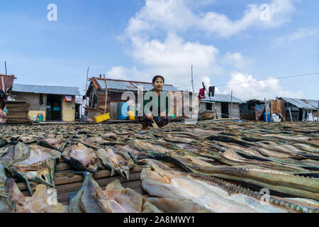 Sea Gypsy Frauen trocknen die Fische in Semporna Sabah Malaysia. Stockfoto