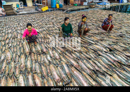 Sea Gypsy Frauen trocknen die Fische in Semporna Sabah Malaysia. Stockfoto