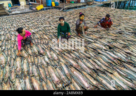 Sea Gypsy Frauen trocknen die Fische in Semporna Sabah Malaysia. Stockfoto