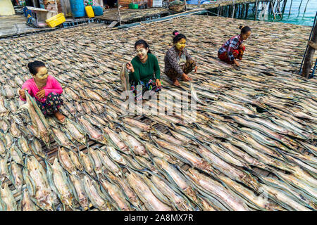 Sea Gypsy Frauen trocknen die Fische in Semporna Sabah Malaysia. Stockfoto