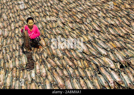 Sea Gypsy Frauen trocknen die Fische in Semporna Sabah Malaysia. Stockfoto