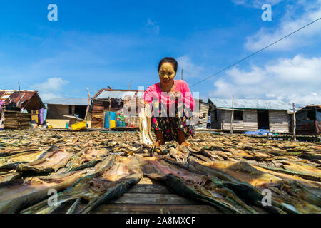 Sea Gypsy Frauen trocknen die Fische in Semporna Sabah Malaysia. Stockfoto