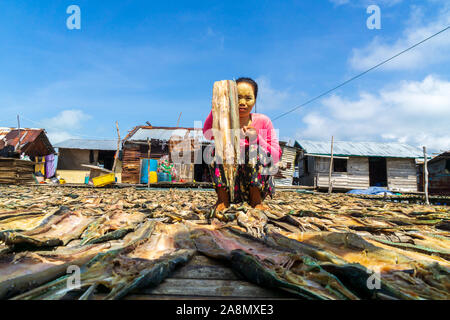 Sea Gypsy Frauen trocknen die Fische in Semporna Sabah Malaysia. Stockfoto