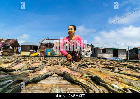 Sea Gypsy Frauen trocknen die Fische in Semporna Sabah Malaysia. Stockfoto