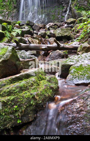 Schönen Wasserfall im Schwarzwald Stockfoto