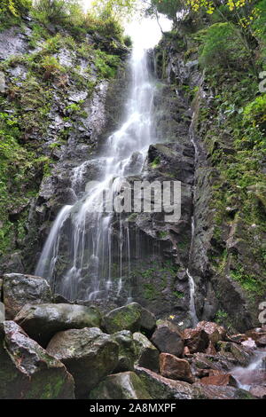 Schönen Wasserfall im Schwarzwald Stockfoto