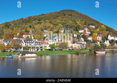 Heidelberg im Herbst Stockfoto