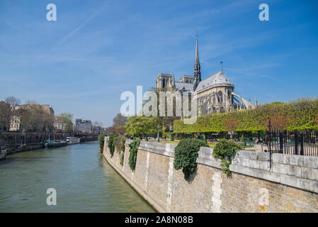 Paris, Kathedrale Notre-Dame im ile de la Cite Stockfoto