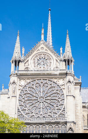 Paris, Kathedrale Notre-Dame im ile de la Cite Stockfoto