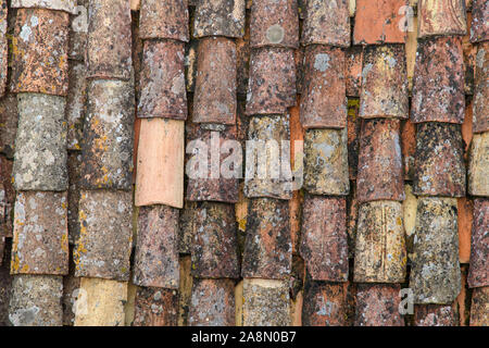 Ein Fragment eines alten Ziegeldach mit Schimmel und Spuren der Zeit abgedeckt. Im Alter von Schindeln. Hintergrund. Muster. Terrakotta. Grau. Ocker. Stockfoto