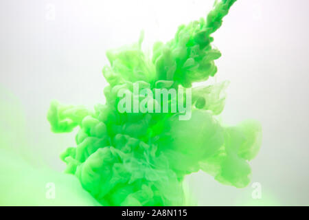 Abstrakten fließenden Flüssigkeiten oder grüne Tinte in Wasser auf einem weißen Hintergrund. Es sieht aus wie Rauch oder Cloud. Oder die Schwerelosigkeit. Stockfoto