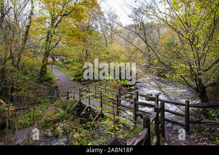 Fußgängerbrücke über Afon Rhaeadr Fawr auf Pfad aber fällt in Coedydd Aber National Nature Reserve in Snowdonia im Herbst. Abergwyngregyn Wales Stockfoto