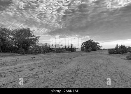 Das trockene Flussbett des Swakop Flusses am Morgen in Schwarz und Weiß Namibia Stockfoto