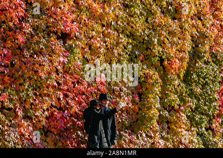 London, Großbritannien. 10. November 2019. St James's Park wurde mit Farben des Herbstes awash, am Tag der Erinnerung, der perfekte Ort für einen selfie Paul Quezada-Neiman/Alamy live News gefunden Stockfoto