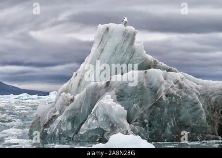 Abgebrochenes Eis des Monacobreen im Arktischen Ozean, Haakon-VII-Land, Spitzbergen. Nur abgebrochen Teil der Monacobreen floating in den Arktischen Ozean. Stockfoto