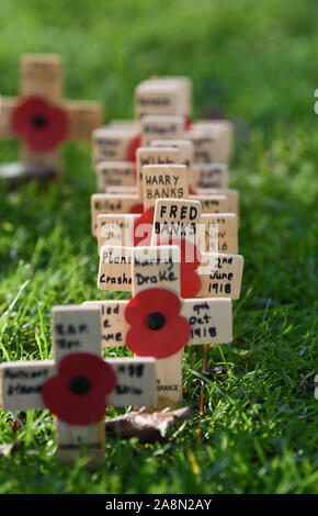 Brighton UK 10. November 2019 - Kleine Kreuze an der Trauerfeier am Brighton War Memorial statt mit einer Parade und Kranzniederlegung Zeremonie: Credit Simon Dack/Alamy leben Nachrichten Stockfoto