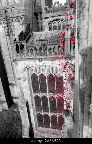 Hunderte von Mohnblumen geworfen wird von der Pfarrkirche in Cirencester Gloucestershire England, Gedenktag zum Gedenken an die Gefallenen während der Kriege Stockfoto