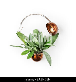 Salbei Kräutertee. Frische Salbeiblätter und Teesieb Anordnung auf weißem Hintergrund Freistellungspfad isoliert enthalten. Kräutermedizin Konzept. Ansicht von oben Stockfoto