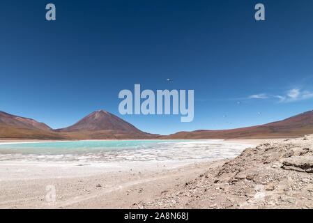 Grüne Lagune, Eduardo AVaroa National Reserve, Bolivien Stockfoto