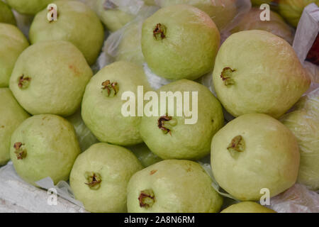 Psidium guajava frisch vom Bauernhof Stockfoto